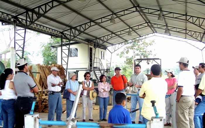 Imagen 12