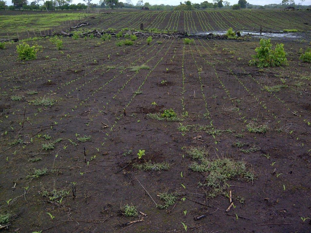 Imagen 20